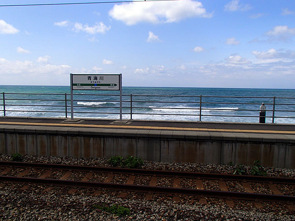 波が怖いほど間近に見えました